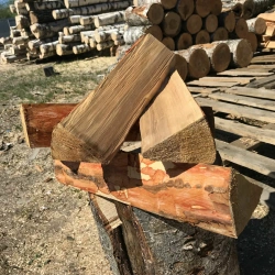 Заготовка и отбор древесины