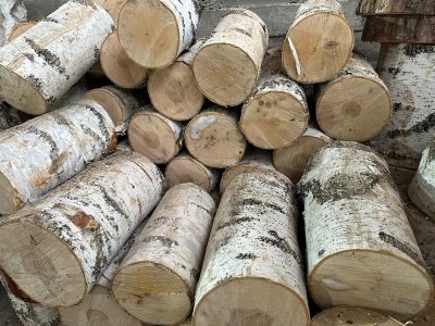 Дрова берёзовые